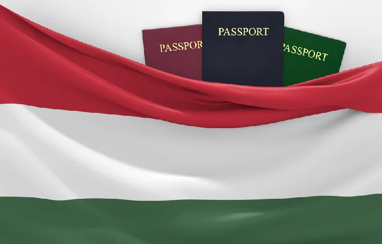 الزامات ویزای تجاری مجارستان